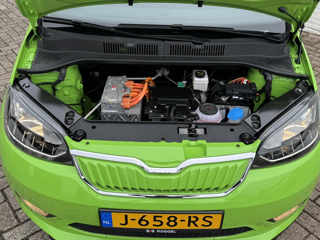44479133-34.jpg