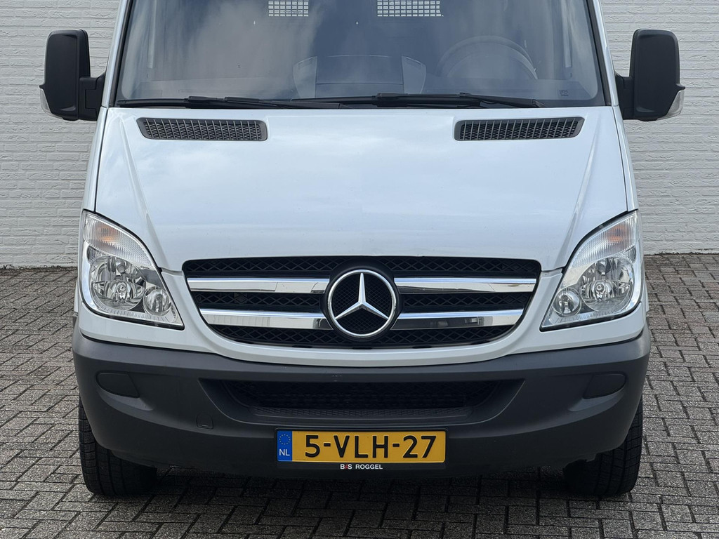 45481416-10.jpg