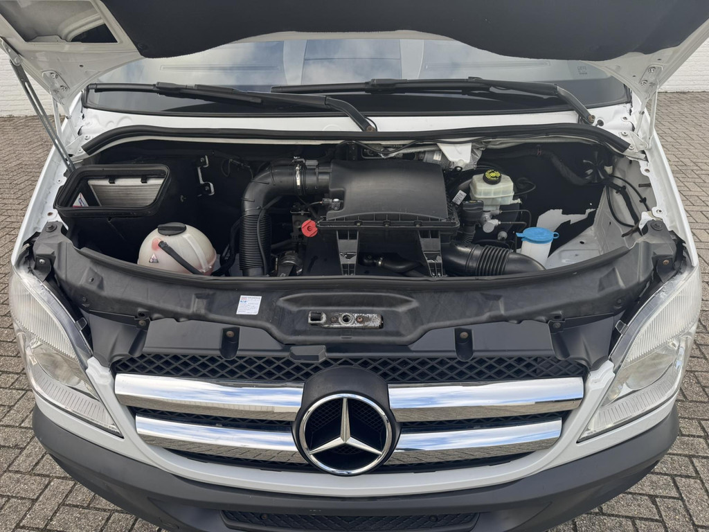 45481416-34.jpg