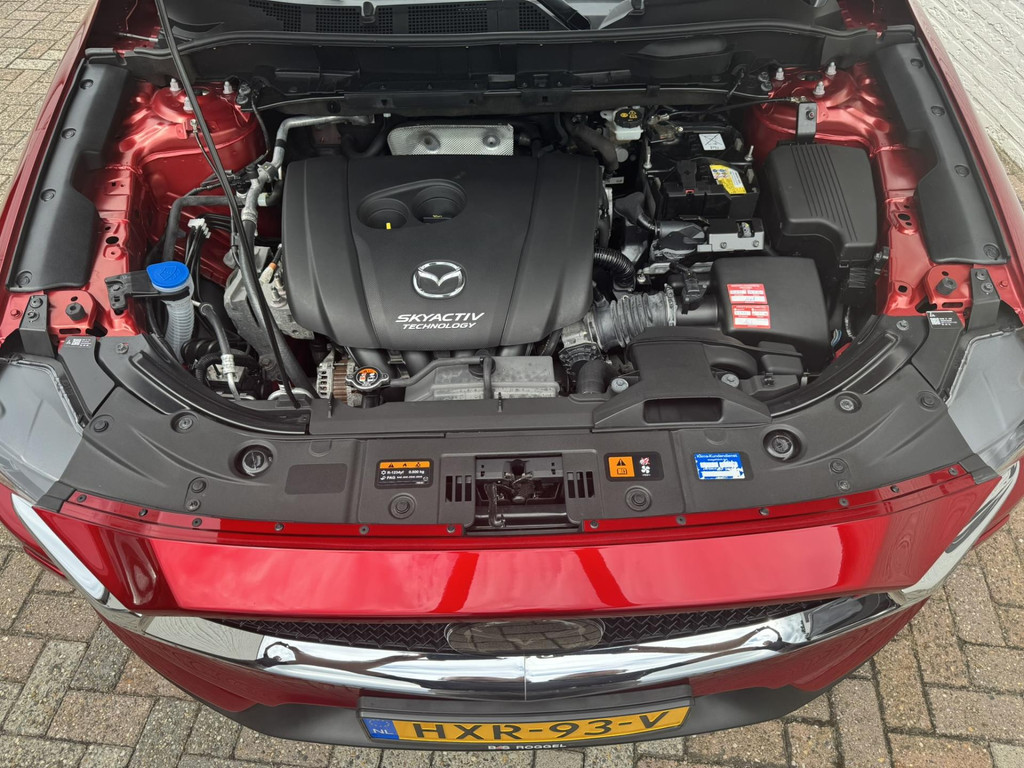 46624889-37.jpg