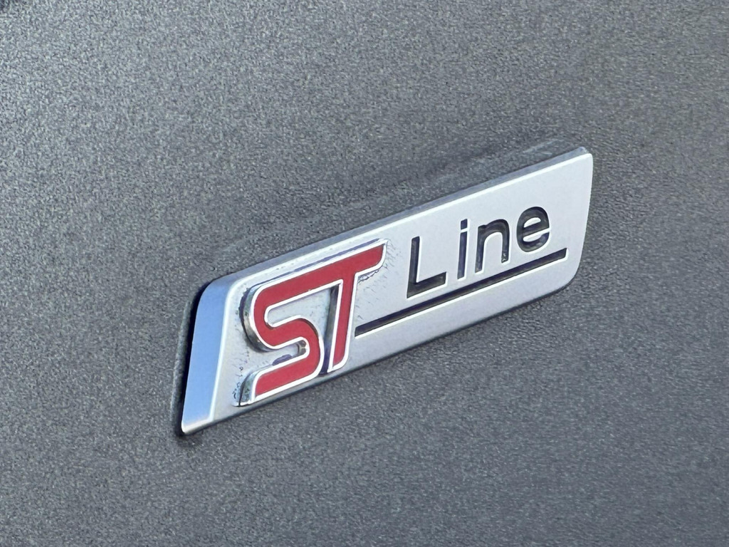 47419800-23.jpg