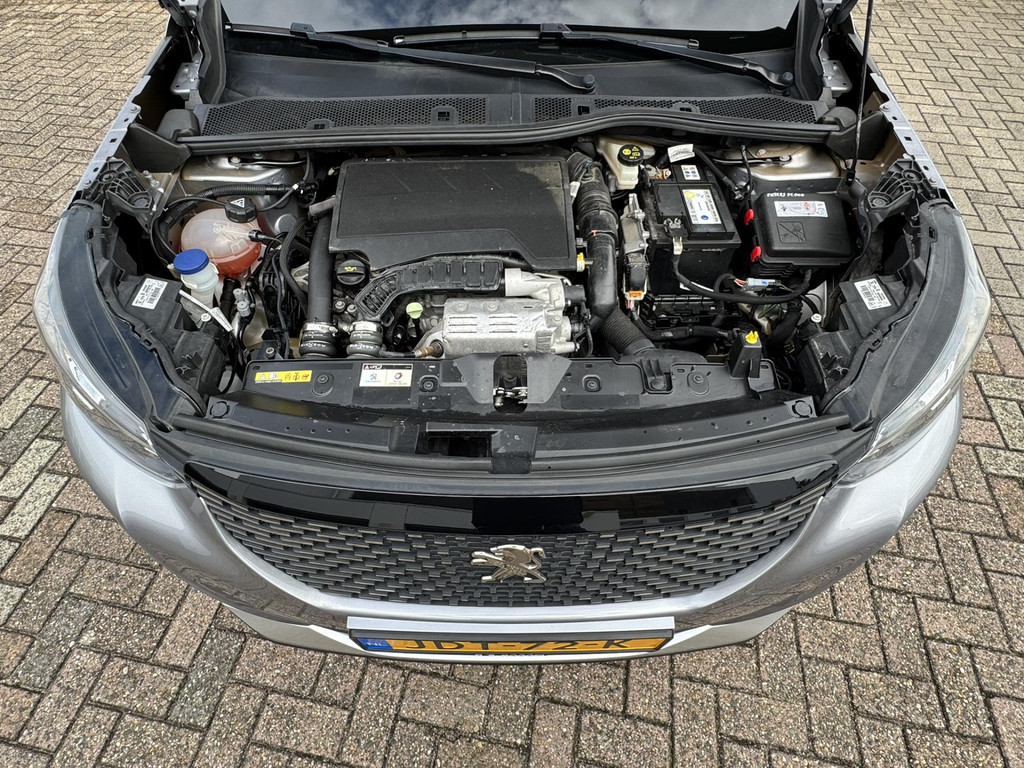 47491821-34.jpg