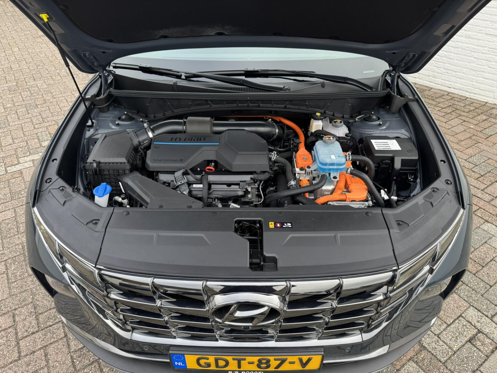 47728950-54.jpg