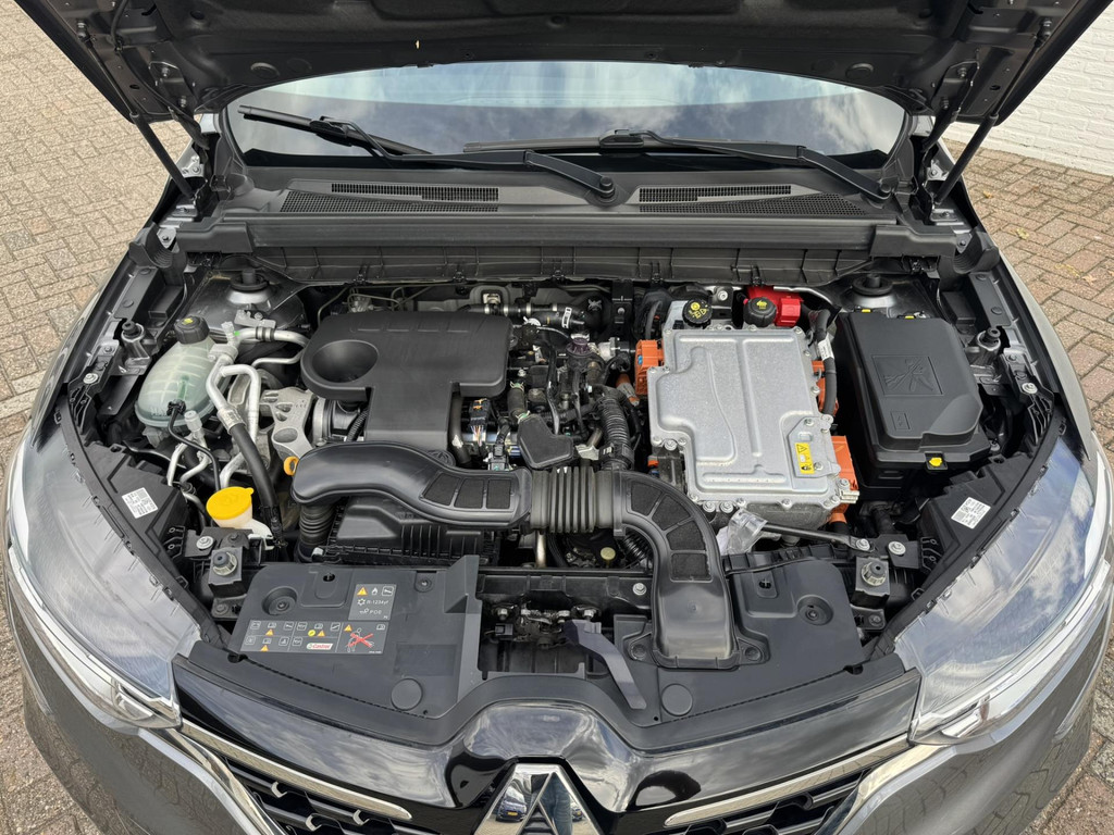 47853931-45.jpg