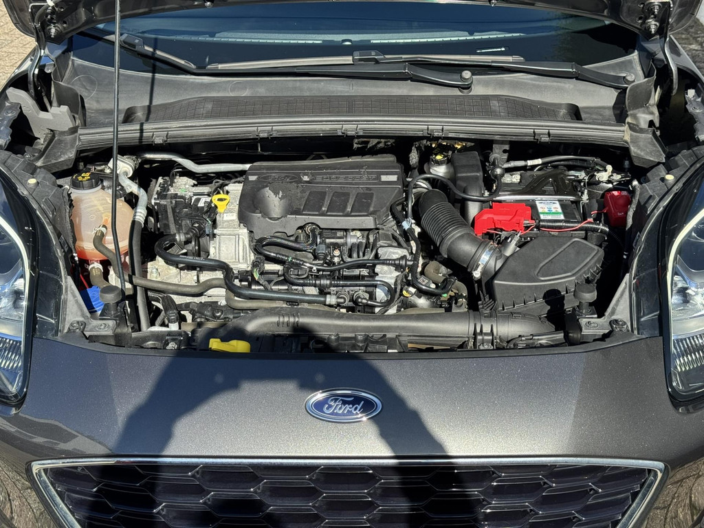 47869333-36.jpg