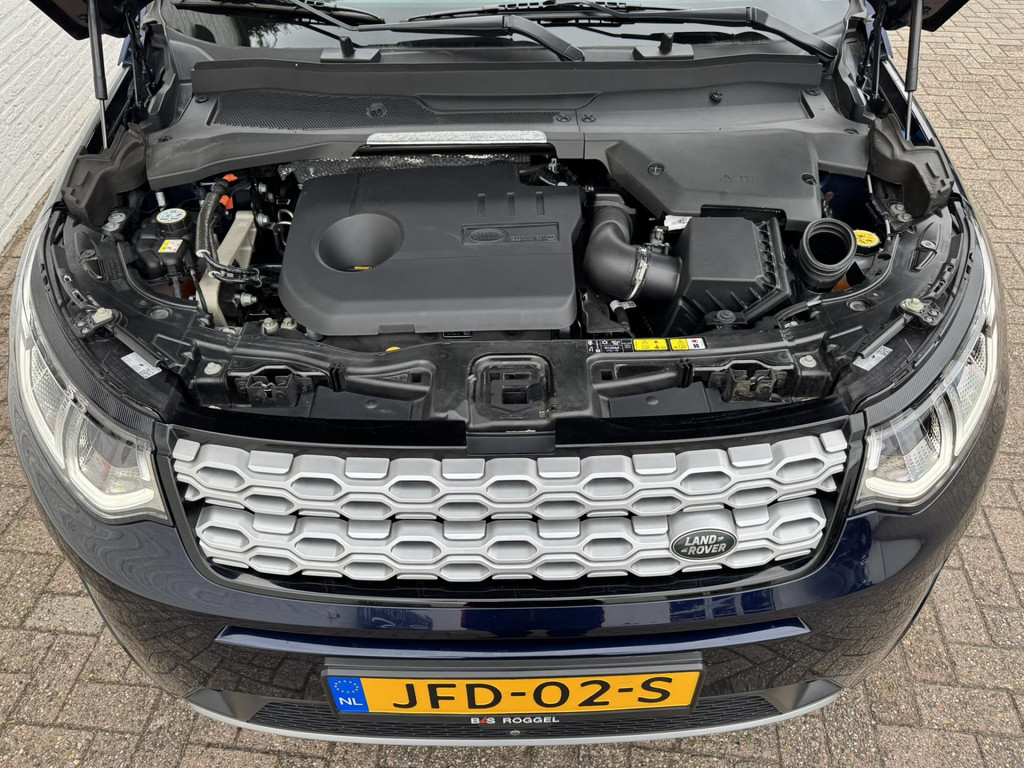 47921052-42.jpg